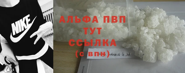 сатива Гусев