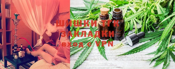 сатива Гусев